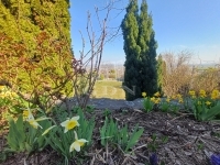 Szekszárd Családi ház