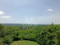 Gödöllő Családi ház