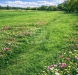 Pásztó Lakás (téglaépítésű)