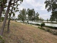 Dunaharaszti Telek