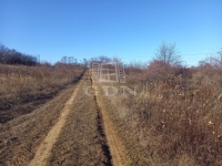 Kerepes Mezőgazdasági terület