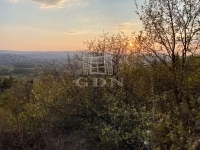 Budapest II. kerület Telek