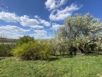 Biatorbágy Családi ház