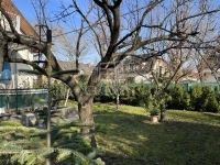 For sale semidetached house Budapest XIII. district, 186m2