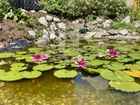 Szombathely Családi ház