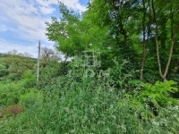 Isaszeg Telek