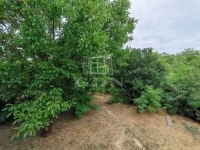 Isaszeg Családi ház