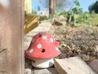 Zalaegerszeg Nyaraló