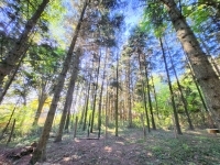 Babosdöbréte Családi ház