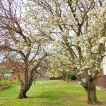 Sopron Családi ház