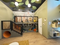 Budapest XI. kerület Lakás (téglaépítésű)