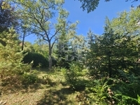 Budapest XII. kerület Lakás (téglaépítésű)