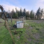 Nagyigmánd Családi ház