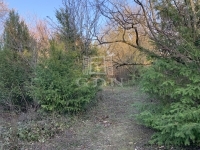 Balatonakarattya Nyaraló