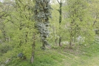 Budapest II. kerület Kastély, kúria