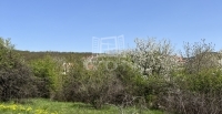 Budakeszi Telek