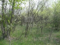 Kecskemét Mezőgazdasági terület