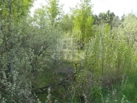 Kecskemét Mezőgazdasági terület