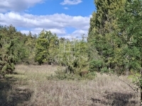 Kerekegyháza Mezőgazdasági terület