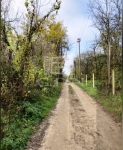 Kiskunlacháza Telek