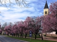 Tököl Családi ház