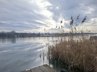 Szigetszentmárton Családi ház