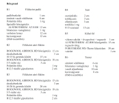 Valkó Családi ház