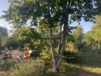 Budapest XXII. kerület Telek