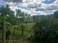 Marcali Mezőgazdasági terület