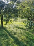 Zalaegerszeg Nyaraló