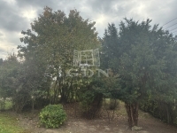 Zalaegerszeg Családi ház