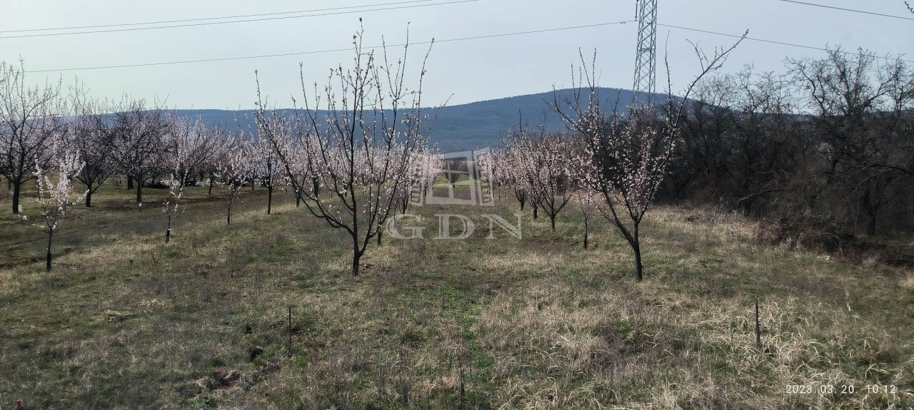 Eladó Pomáz Mezőgazdasági terület